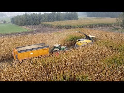Verplancke mais hakselen 2021 - Fendt - New Holland - Massey Ferguson - Dewa - Dezeure