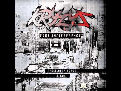 Kryzys-SDM (Subconsciously Deliberate Mistake)