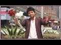 Nannavoola  | Asha Black | Video Song | Dinnath Puthenchery | Jecin George |  Niranj Suresh