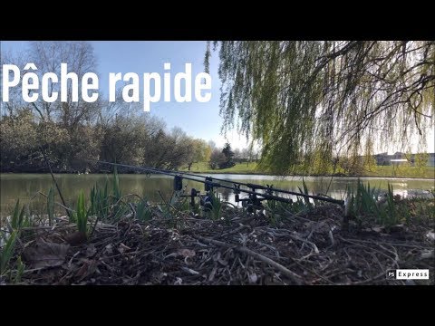 download lagu mp3 mp4 Peche Carpe Rapide Etang, download lagu Peche Carpe Rapide Etang gratis, unduh video klip Peche Carpe Rapide Etang