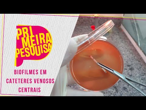 Primeira Pesquisa | Caracterização de biofilmes em cateteres venosos centrais