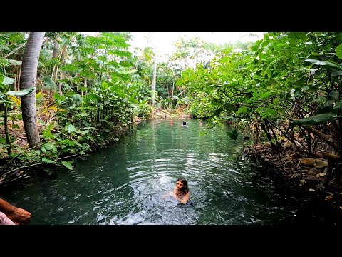 OLHO DAGUA DA SAÚDE-COCAL,PIAUÍ