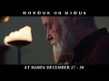 Hilmar Örn Hilmarsson discusses the Sigur Rós rune symbol