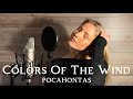 Colors Of The Wind Disney Pocahontas Vanessa Williams Version Cover By Celine Sophia
