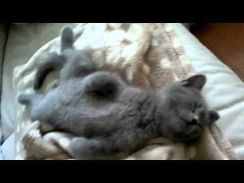 Murphy beschwert sich!