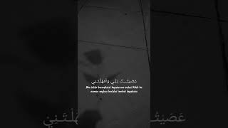 Download lagu STORY WA || SHOLAWAT SAUQBILU YA KHALIQI mp3