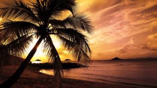 Secondcity - I Wanna Feel