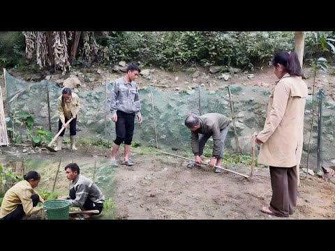 TU and his family renovated the garden so they could build a small kitchen there