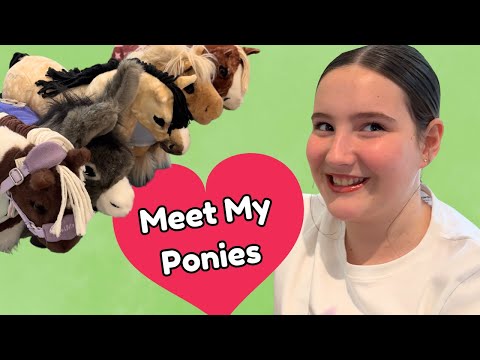 MY LEMIEUX TOY PONY COLLECTION UPDATE