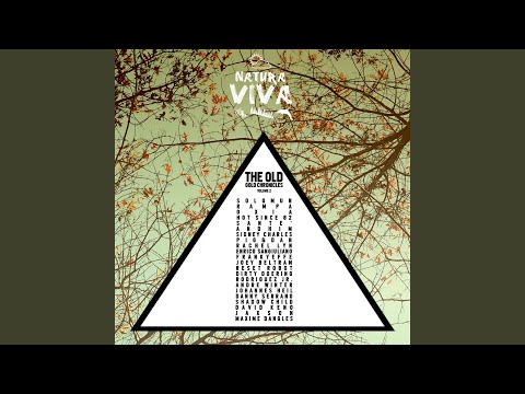 El Mariachi (Dirty Doering Remix)