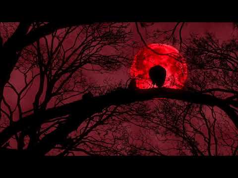 Joe Vitale Jr "Razor Edge"