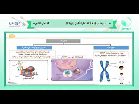 الثالث المتوسط| الفصل الدراسي الثاني 1438 | علوم | الوراثة