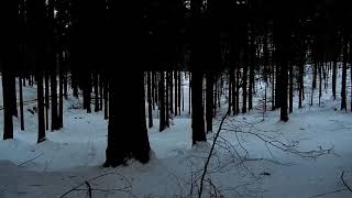 Dominions of Cold Black Woods To Eternity