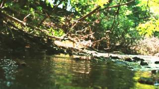 Lou Barlow - Repeat (Album Audio Only)