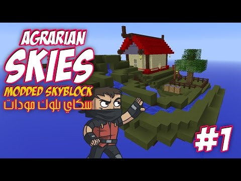 Insane Minecraft SkyBlock with Fir4sGamer!