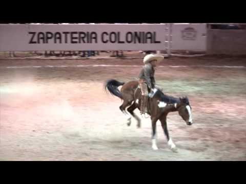 Jineteo de Yegua   Colección 9 Suertes Charras