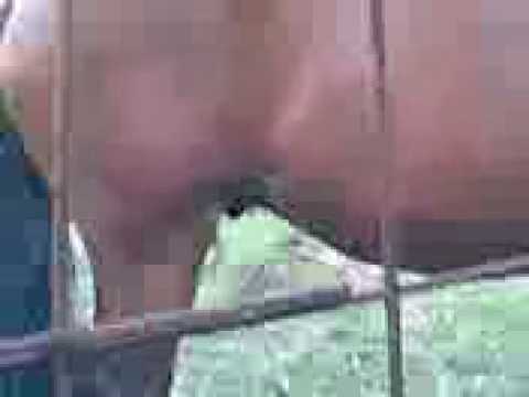Il comportamento dei ragazzi che hanno un pene piccolo Uova di quaglia sono utili per gli uomini la potenza