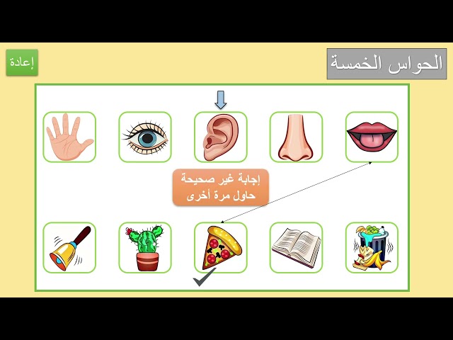 ملف بوروينت تفاعلي - لعبة الحواس الخمسة