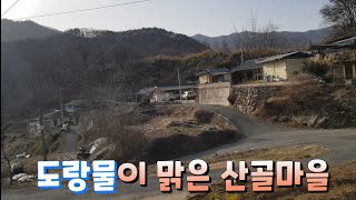 귀촌마니/임대빈집찾아 동네한바퀴ㅡ13/ 경북 예천군 효자면 석묘리 춘생