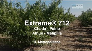 Video Extreme® 712