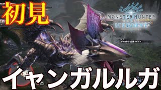 【MHWI】やっとでた！隠しモンスターイャンガルルガ 太刀 ソロ 初見【モンスターハンターワールド アイスボーン】