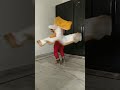 Kathak Dance Kahe Ched Ched Mohe