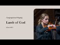Lamb Of God Hymn 265 Grace Community Church Congregation Orchestra