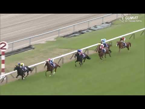 해외 경마 2019 Tenno sho G1