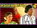 Naa Preyasi Oohalo Urvasi Song Krishnam Raju Jayaprada Superhit Video Song Taxi Driver Songs
