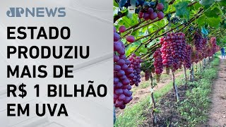 Miniatura do vídeo