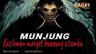 Download lagu DONGENG MUNJUNG  kasiluman monyet leuweung citamba bag#1 mp3