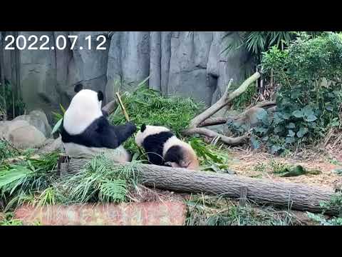 7月12日生日