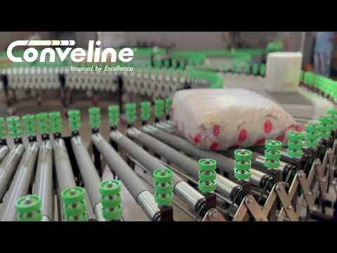 Flexible Roller Conveyor