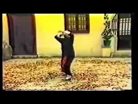 Southern Eight Drunken Immortals Kung Fu - Chiu Chung Yat