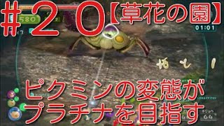 【ピクミン3】 ピクミンの変態がミッションでプラチナを狙うpart20・ステージ”草花の園”原生生物を倒せスコア3955【ライジング】