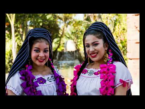 PDMT Promo Video 2019