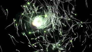 Ludovico Einaudi - Lontano