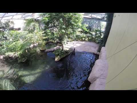 dresdner zoo max bekommt futter