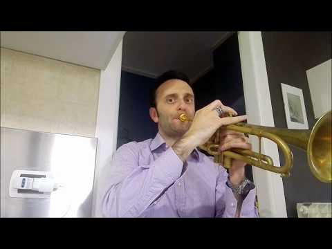 DOMENICO MARINO whit MONETTE MF - Ravel