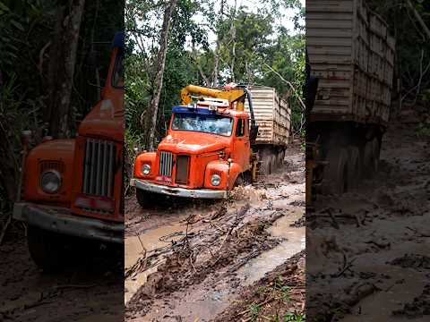 Scania 111: el YACARÉ