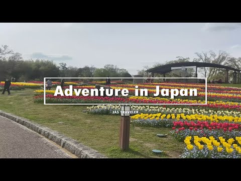 Umami Park | Adventure in Japan
