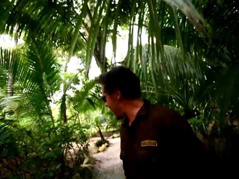 download lagu mp3 mp4 Feather And Fur, download lagu Feather And Fur gratis, unduh video klip Feather And Fur