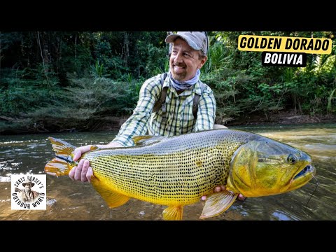 Amazing Adventure for Golden Dorado in Bolivia's Amazon Jungle