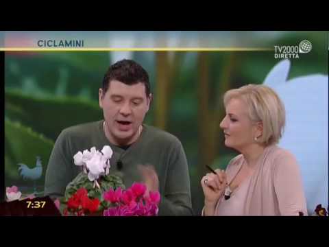 La crema di un norev da pigmentary nota risposte Come la maggior parte per liberarsi da lentiggini