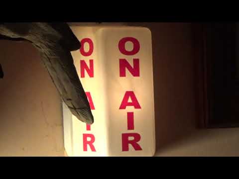 CATCH US IF YOU CAN /  The Dave Clark Five   *1965