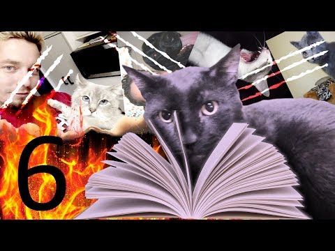 O Diário de Sylvester 6 -  O Gatinho Que Voa