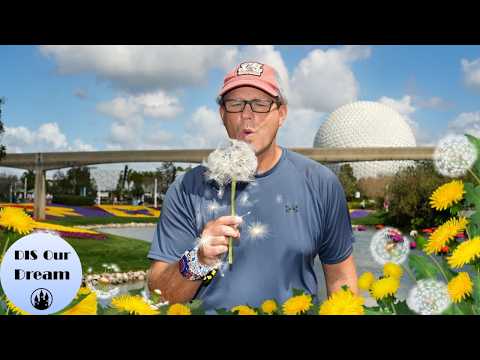 Live webcam of DIS Our Dream