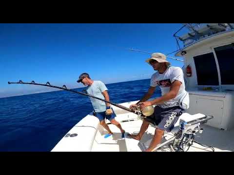 We gaan door! - Cavalier & Blue Marlin Sport Fishing Gran Canaria