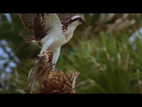 Mos u Trishto - Rregulla që përmbajnë diturinë - 16