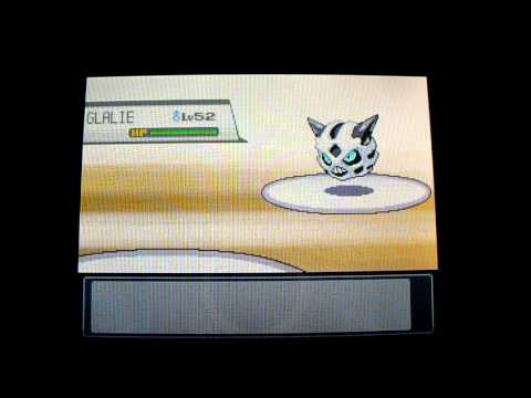 Pokémon Heart gold Gym leaders rematch Pryce